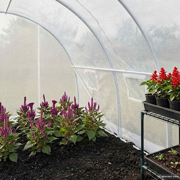 Préparer sa serre pour l'hiver ? Image