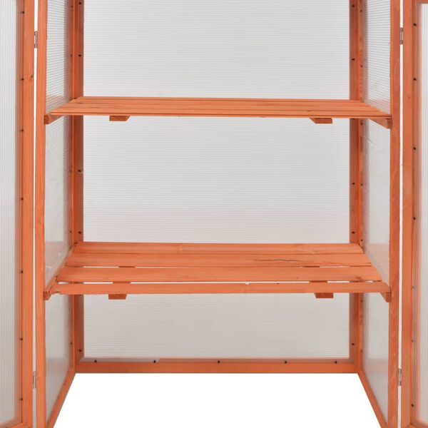 Serre en bois avec étagères - 75x47x109 cm
