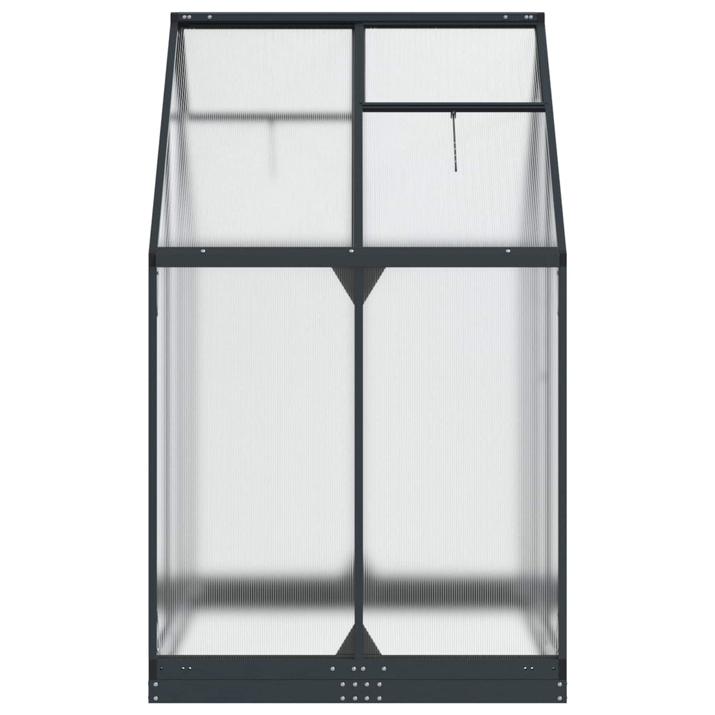 Serre de jardin anthracite 183 x 123 cm en aluminium